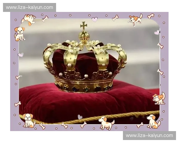 兰斯vs阿弗尔：法兰西王冠下的荣耀之争