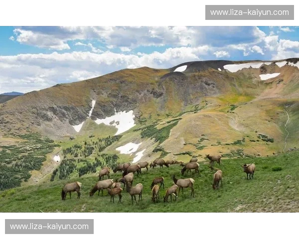俄勒冈风情与落基山脉的碰撞:波特兰vs科罗拉多,一场未完待续的精彩对话 俄勒冈风情与落基山脉的碰撞:波特兰vs科罗拉多,一场未完待续的精彩对话